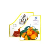 加(jia)工(gong)定製(zhi)水果抗壓防撞中(zhong)空闆周轉箱周轉筐水果防潮(chao)PE中(zhong)空闆鈣塑箱