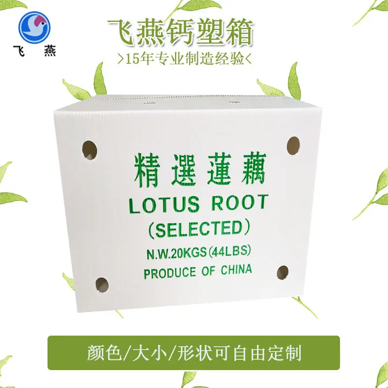 蔬菜鈣塑周轉箱廠(chǎng)傢(jia)蔬菜生(sheng)姜紙箱式(shi)運輸(shu)箱水果橙子(zi)荔枝PE中(zhong)空闆箱
