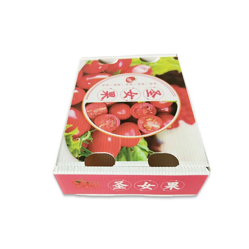 PE防潮(chao)防摔保鮮運輸(shu)箱 PE水果中(zhong)空闆鈣塑箱 聖女果鈣塑周轉箱