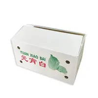 防潮(chao)水果鈣塑箱菜苗運輸(shu)周轉箱蔬菜物(wù)流收納箱環保中(zhong)空闆廠(chǎng)傢(jia)批(pi)髮(fa)