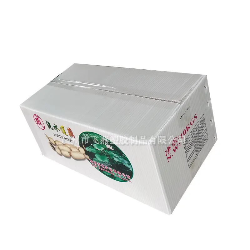 新(xin)款鈣塑箱廠(chǎng)傢(jia) 廣(guang)西蔬菜中(zhong)轉鈣塑包裝(zhuang)箱 生(sheng)鮮蓮藕PE中(zhong)空闆運輸(shu)箱