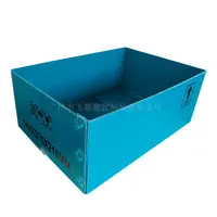 加(jia)工(gong)定製(zhi)PE中(zhong)空闆蔬菜箱防潮(chao)折疊PE瓦楞箱水果荔枝防潮(chao)運輸(shu)周轉箱