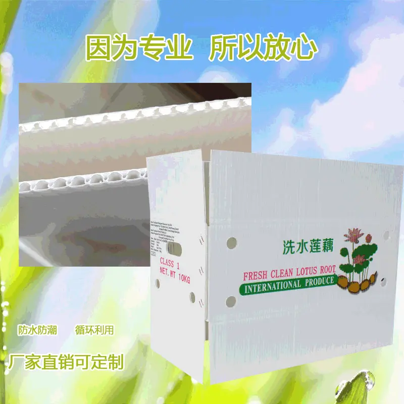 新(xin)款塑料周轉箱生(sheng)産(chan)批(pi)髮(fa)塑膠運輸(shu)箱子(zi)長(zhang)方(fang)形pE物(wù)流中(zhong)轉蔬菜鈣塑箱