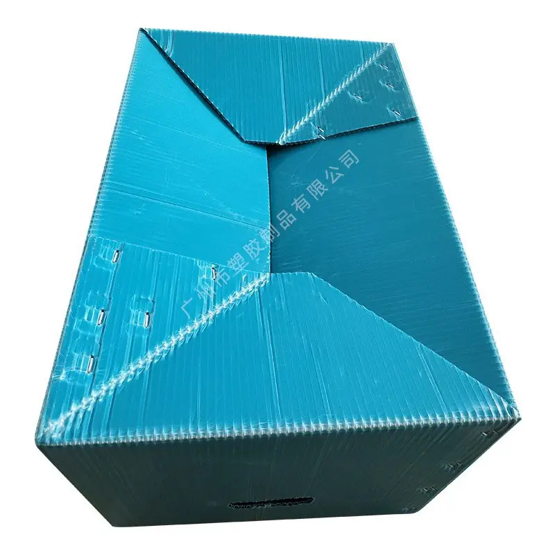 加(jia)工(gong)定製(zhi)PE中(zhong)空闆蔬菜箱防潮(chao)折疊PE瓦楞箱水果荔枝防潮(chao)運輸(shu)周轉箱