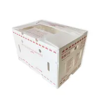 PE水果中(zhong)空闆鈣塑箱 生(sheng)鮮水果循環箱瓦楞闆箱加(jia)厚加(jia)硬周轉鈣塑箱