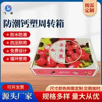 PE防潮(chao)防摔保鮮運輸(shu)箱 PE水果中(zhong)空闆鈣塑箱 聖女果鈣塑周轉箱