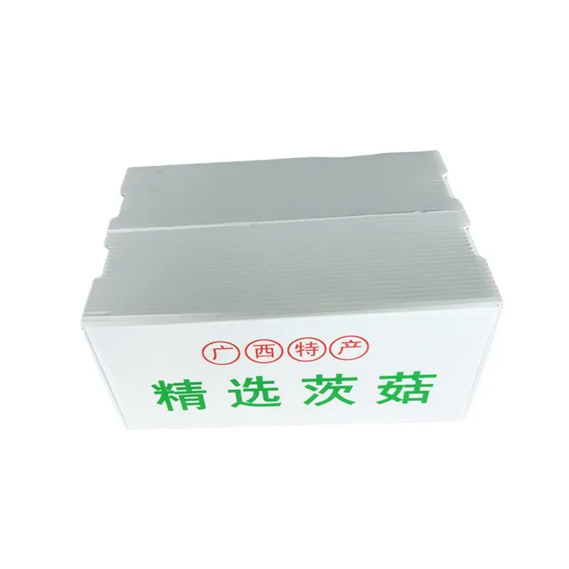 塘菇5斤包裝(zhuang)箱 免打釘款 運輸(shu)PE瓦楞中(zhong)轉箱 鈣塑周轉包裝(zhuang)運輸(shu)箱
