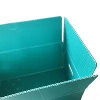 定製(zhi)水果運輸(shu)鈣塑中(zhong)空闆箱蔬菜水果PE運輸(shu)箱防潮(chao)塑料包裝(zhuang)周轉箱
