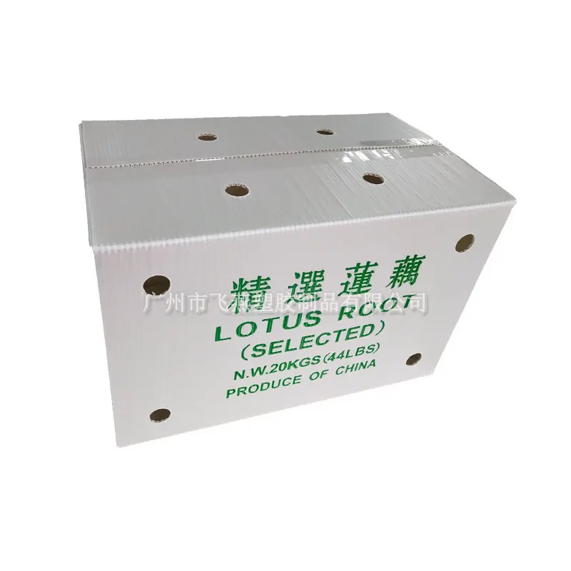 蔬菜鈣塑周轉箱廠(chǎng)傢(jia)蔬菜生(sheng)姜紙箱式(shi)運輸(shu)箱水果橙子(zi)荔枝PE中(zhong)空闆箱