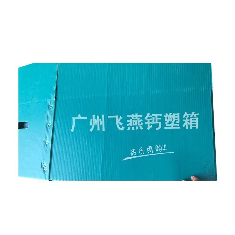 定製(zhi)水果運輸(shu)鈣塑中(zhong)空闆箱蔬菜水果PE運輸(shu)箱防潮(chao)塑料包裝(zhuang)周轉箱