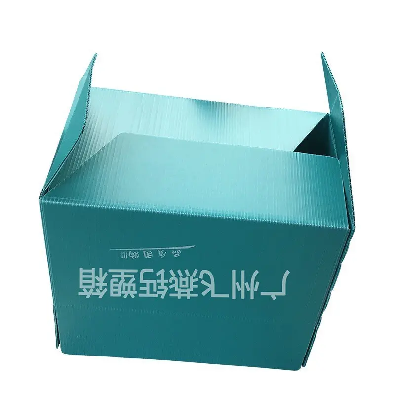 定製(zhi)水果運輸(shu)鈣塑中(zhong)空闆箱蔬菜水果PE運輸(shu)箱防潮(chao)塑料包裝(zhuang)周轉箱
