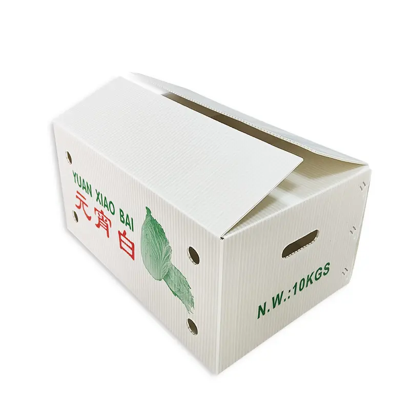 防潮(chao)水果鈣塑箱菜苗運輸(shu)周轉箱蔬菜物(wù)流收納箱環保中(zhong)空闆廠(chǎng)傢(jia)批(pi)髮(fa)