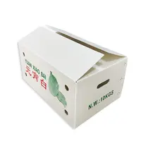 防潮(chao)水果鈣塑箱菜苗運輸(shu)周轉箱蔬菜物(wù)流收納箱環保中(zhong)空闆廠(chǎng)傢(jia)批(pi)髮(fa)