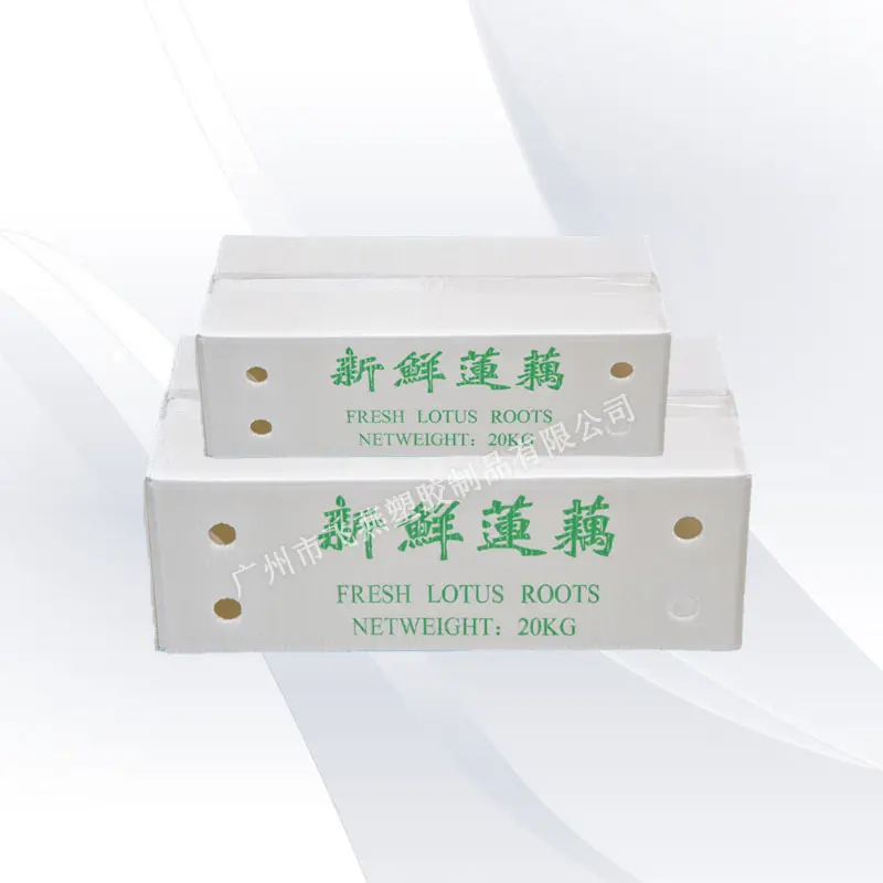 新(xin)款鈣塑箱廠(chǎng)傢(jia) 廣(guang)西蔬菜中(zhong)轉鈣塑包裝(zhuang)箱 生(sheng)鮮蓮藕PE中(zhong)空闆運輸(shu)箱
