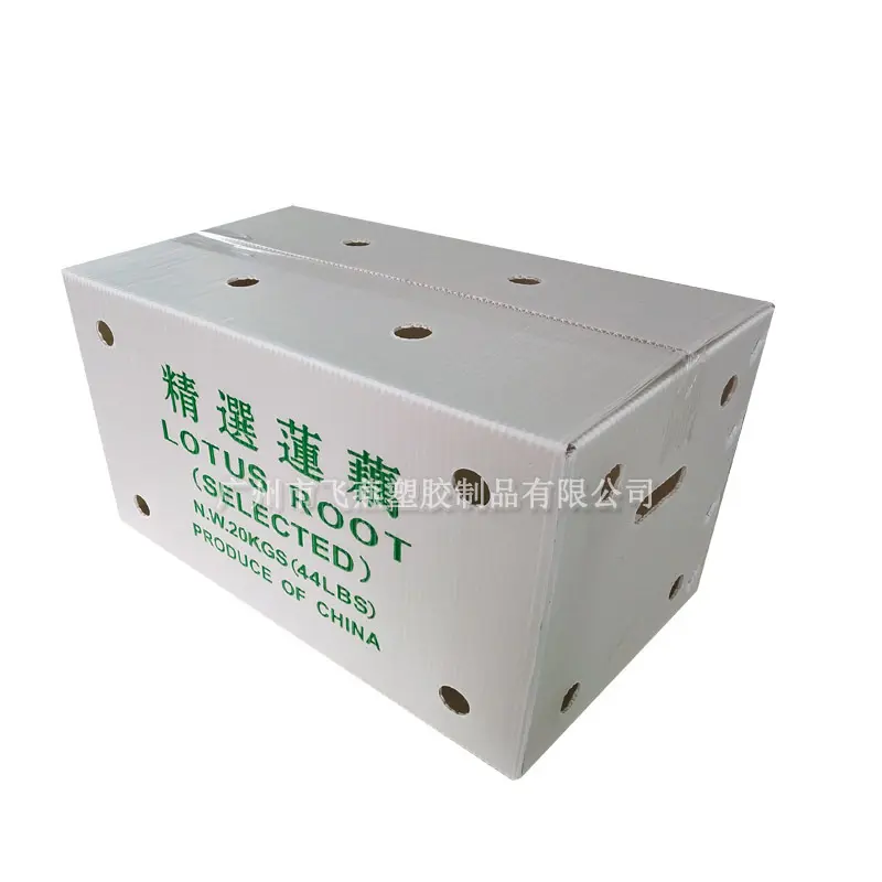 蔬菜鈣塑周轉箱廠(chǎng)傢(jia)蔬菜生(sheng)姜紙箱式(shi)運輸(shu)箱水果橙子(zi)荔枝PE中(zhong)空闆箱