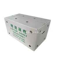 蔬菜鈣塑周轉箱廠(chǎng)傢(jia)蔬菜生(sheng)姜紙箱式(shi)運輸(shu)箱水果橙子(zi)荔枝PE中(zhong)空闆箱
