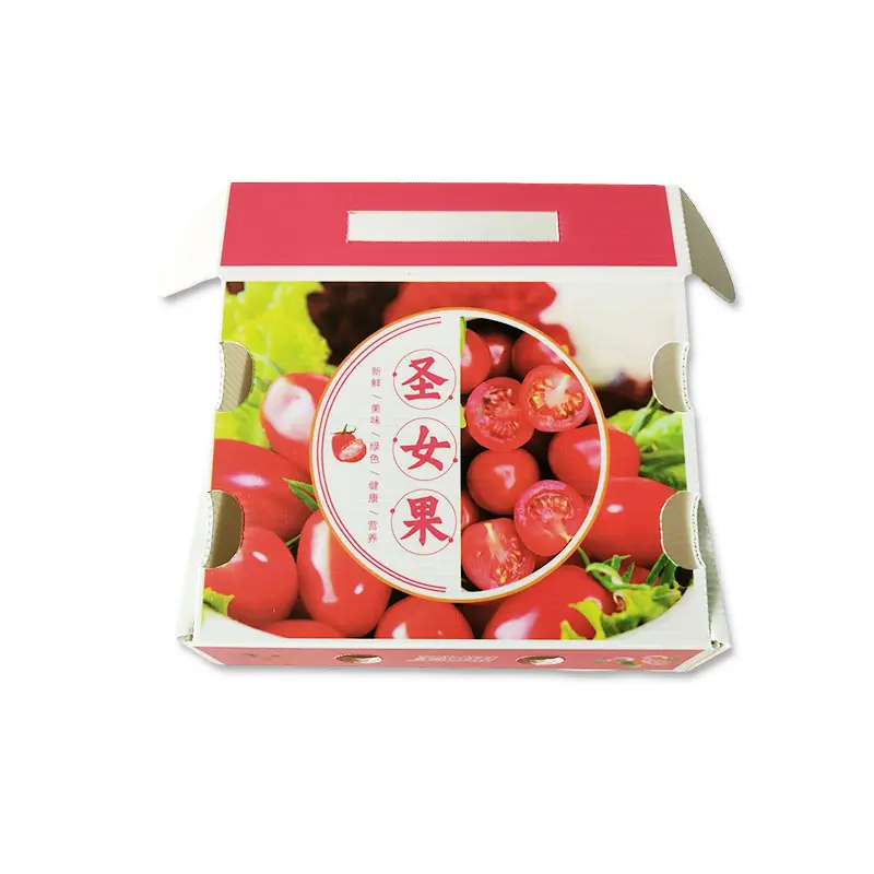 PE防潮(chao)防摔保鮮運輸(shu)箱 PE水果中(zhong)空闆鈣塑箱 聖女果鈣塑周轉箱