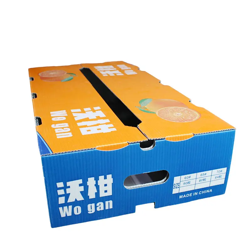 PE水果沃柑周轉透氣(qi)箱防潮(chao)PE水果中(zhong)轉運輸(shu)箱 水果蔬菜展(zhan)示周轉箱