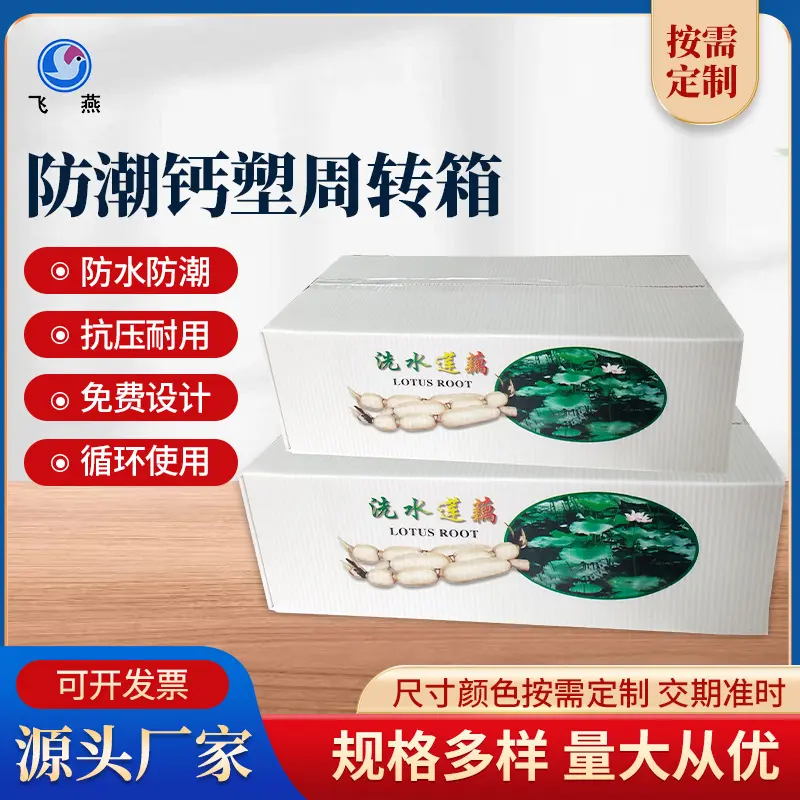 新(xin)款塑料周轉箱生(sheng)産(chan)批(pi)髮(fa)塑膠運輸(shu)箱子(zi)長(zhang)方(fang)形pE物(wù)流中(zhong)轉蔬菜鈣塑箱