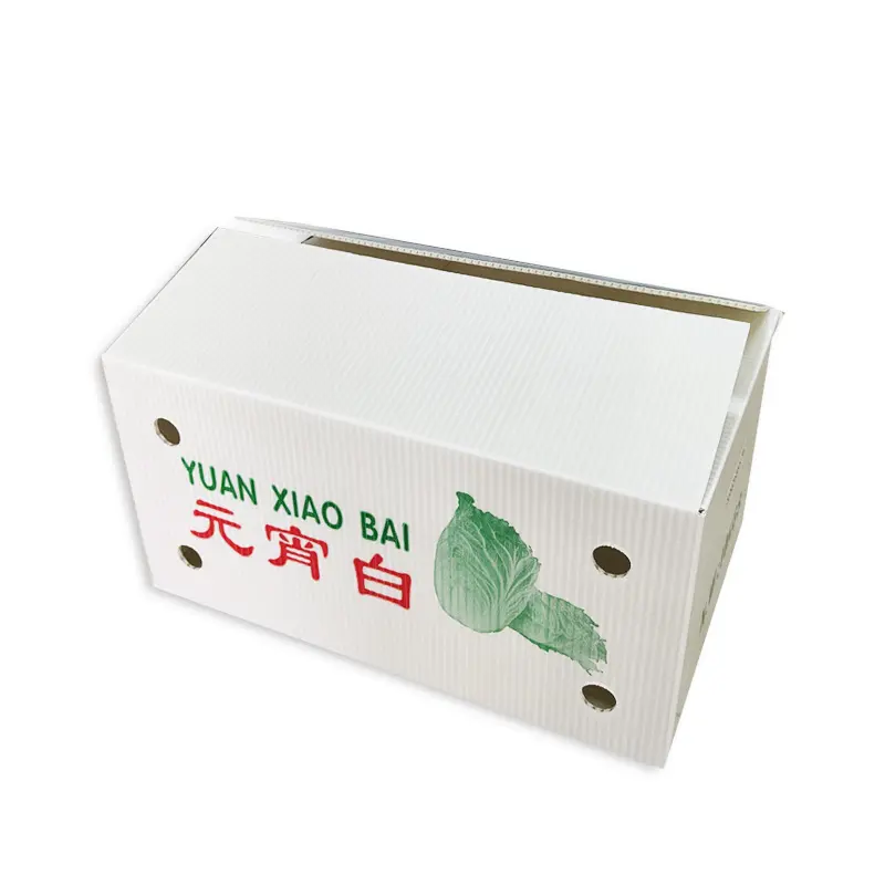 防潮(chao)水果鈣塑箱菜苗運輸(shu)周轉箱蔬菜物(wù)流收納箱環保中(zhong)空闆廠(chǎng)傢(jia)批(pi)髮(fa)