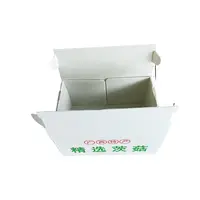 塘菇5斤包裝(zhuang)箱 免打釘款 運輸(shu)PE瓦楞中(zhong)轉箱 鈣塑周轉包裝(zhuang)運輸(shu)箱