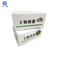 蔬菜鈣塑中(zhong)轉箱 速(su)食運輸(shu)折疊PE瓦楞箱 蔬菜水果防潮(chao)周轉運輸(shu)箱