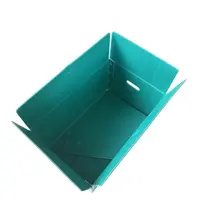 定製(zhi)水果運輸(shu)鈣塑中(zhong)空闆箱蔬菜水果PE運輸(shu)箱防潮(chao)塑料包裝(zhuang)周轉箱
