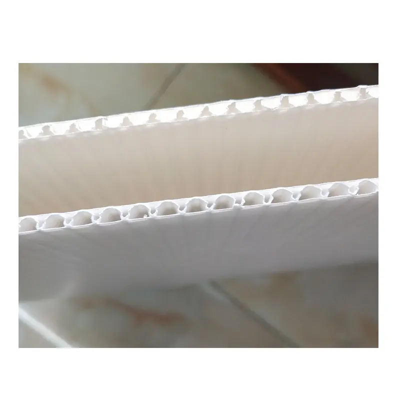 新(xin)款塑料周轉箱生(sheng)産(chan)批(pi)髮(fa)塑膠運輸(shu)箱子(zi)長(zhang)方(fang)形pE物(wù)流中(zhong)轉蔬菜鈣塑箱