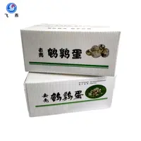 蔬菜鈣塑中(zhong)轉箱 速(su)食運輸(shu)折疊PE瓦楞箱 蔬菜水果防潮(chao)周轉運輸(shu)箱