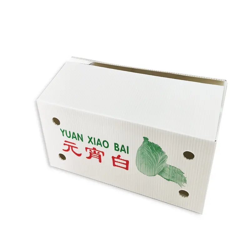 防潮(chao)水果鈣塑箱菜苗運輸(shu)周轉箱蔬菜物(wù)流收納箱環保中(zhong)空闆廠(chǎng)傢(jia)批(pi)髮(fa)