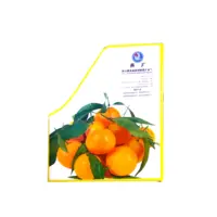 加(jia)工(gong)定製(zhi)水果抗壓防撞中(zhong)空闆周轉箱周轉筐水果防潮(chao)PE中(zhong)空闆鈣塑箱