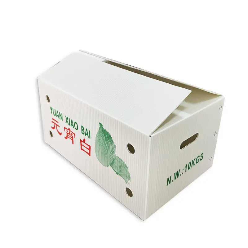 防潮(chao)水果鈣塑箱菜苗運輸(shu)周轉箱蔬菜物(wù)流收納箱環保中(zhong)空闆廠(chǎng)傢(jia)批(pi)髮(fa)