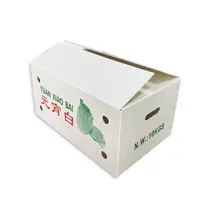 防潮(chao)水果鈣塑箱菜苗運輸(shu)周轉箱蔬菜物(wù)流收納箱環保中(zhong)空闆廠(chǎng)傢(jia)批(pi)髮(fa)