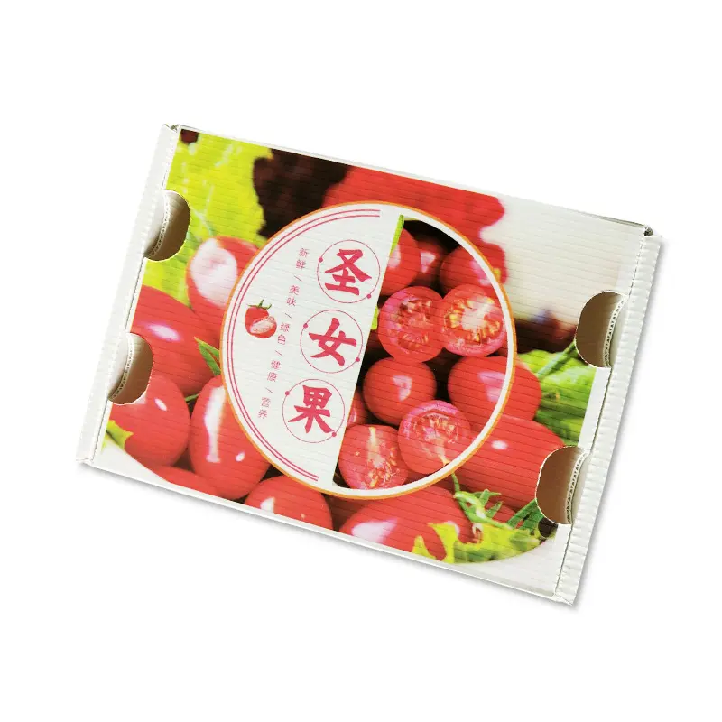 PE防潮(chao)防摔保鮮運輸(shu)箱 PE水果中(zhong)空闆鈣塑箱 聖女果鈣塑周轉箱