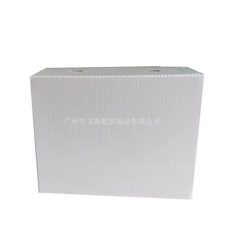 蔬菜鈣塑周轉箱廠(chǎng)傢(jia)蔬菜生(sheng)姜紙箱式(shi)運輸(shu)箱水果橙子(zi)荔枝PE中(zhong)空闆箱